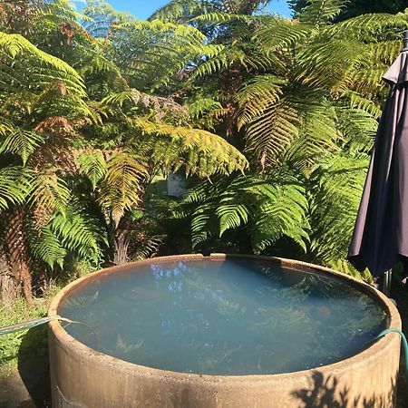 Whare&Geothermal Pool By Lake Taupo Turangi Eksteriør billede