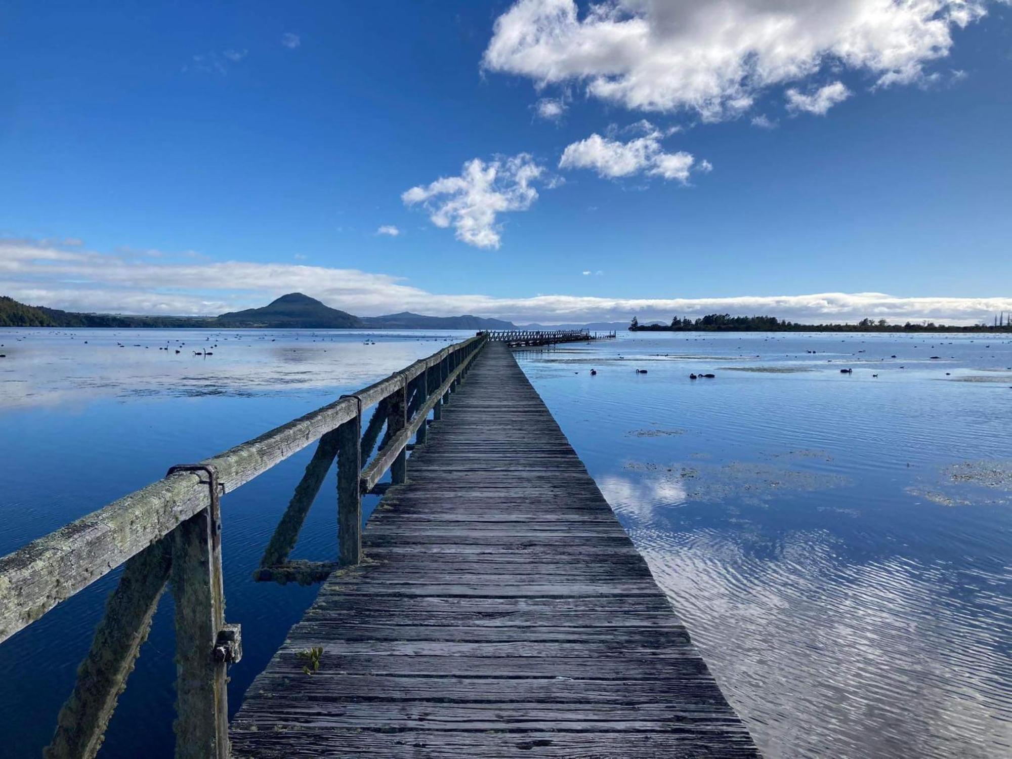 Whare&Geothermal Pool By Lake Taupo Turangi Eksteriør billede